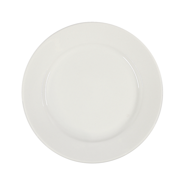 Euro Bright White Rolled Edge Plate 9''