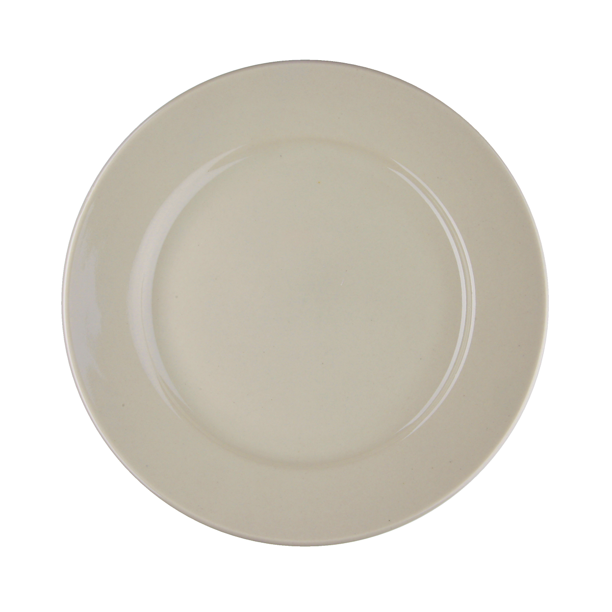 American White Rolled Edge Plate 9 3/4'' — Libertyware